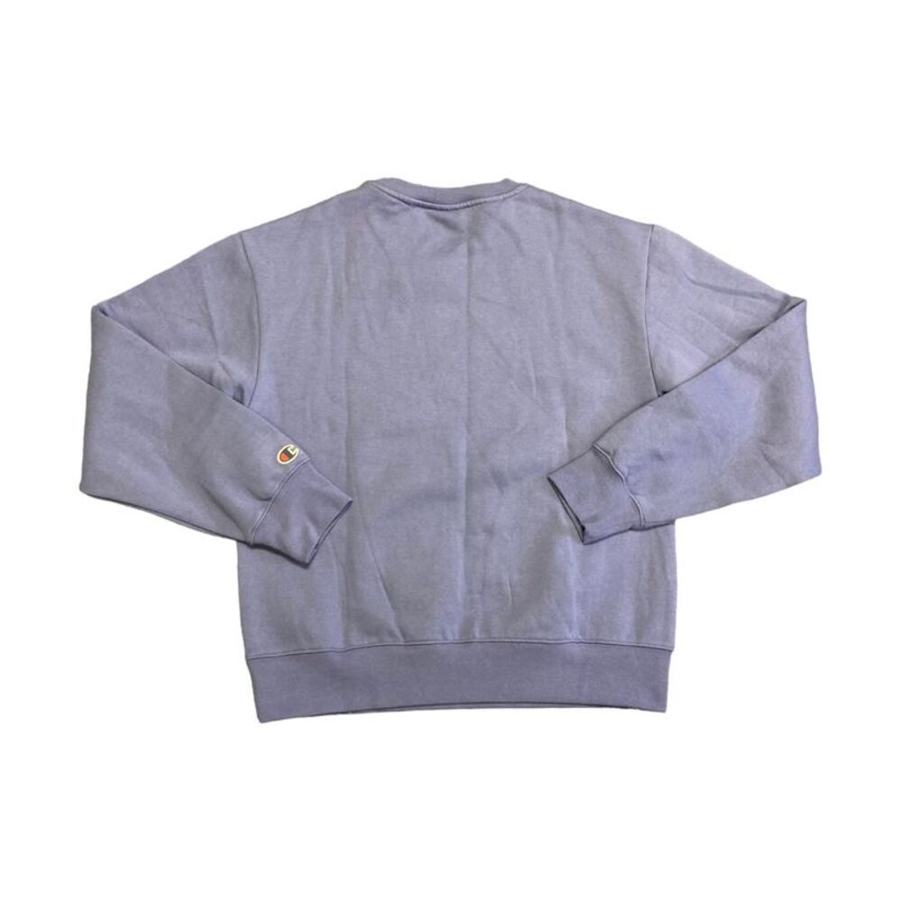Stone Crush Blue - Champion Women's Long Sleeve Fleece Lined Comfort Fit Pullove - Picture 2 of 3